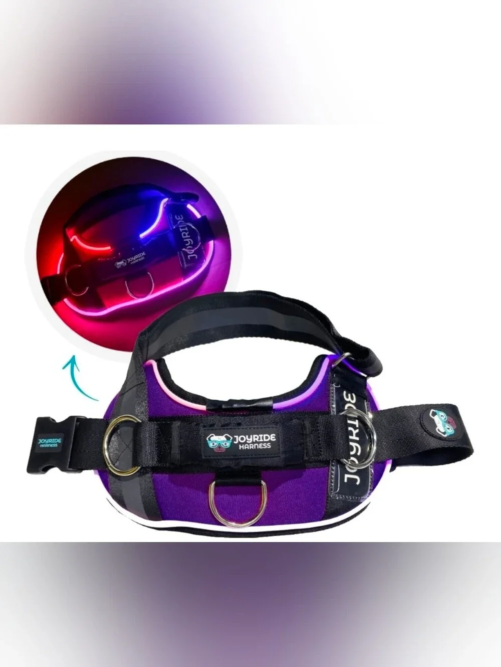 Purple LED Dog Harness with Reflective Straps
